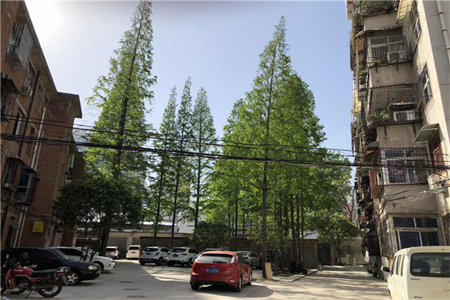 东平佛山小学书香雅居3室2厅1卫63万好楼层送车库分期